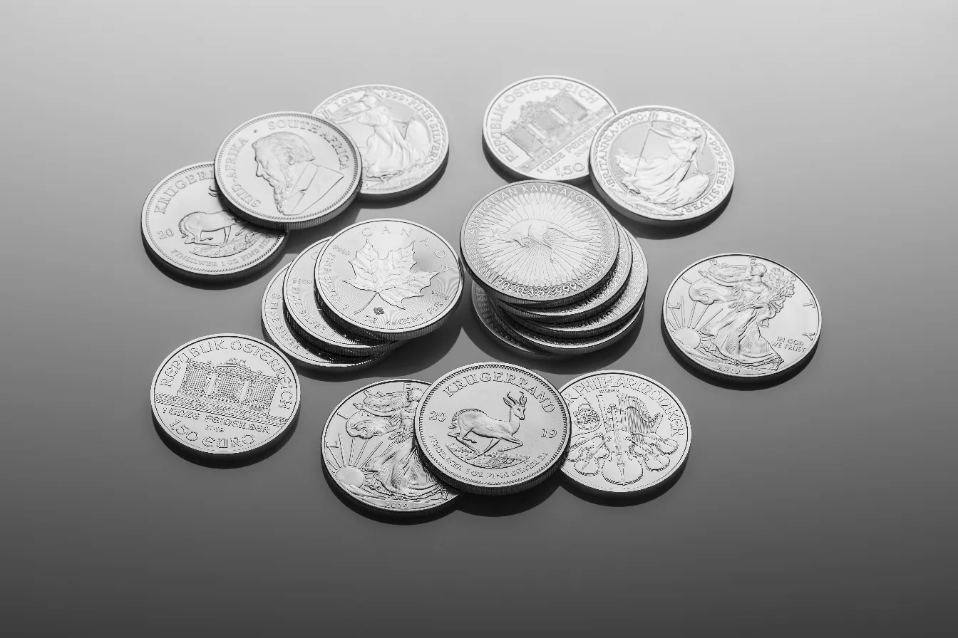 Silver Coins Worth Cheeky Mongoose